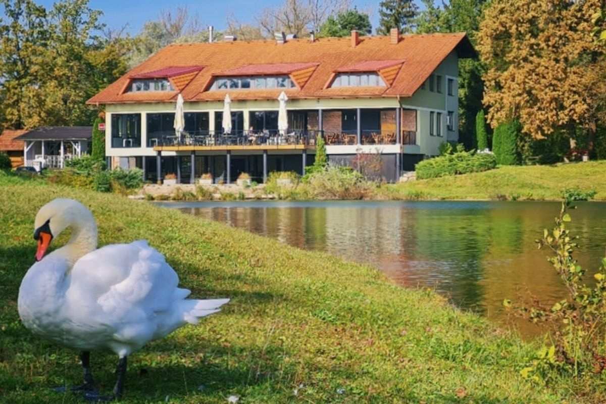 Nova Rajngla ob Ribniku Preserje pri Braslovčah